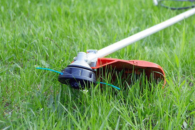 ナイロンで草刈り ナイロンカッターの特徴と効果的に使いこなすコツ 芝刈り 草むしり 草取り 600円 坪から 草刈り110番