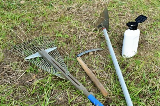 草むしりを簡単に 便利な道具やコツを知り雑草対策を徹底しよう 草刈り110番